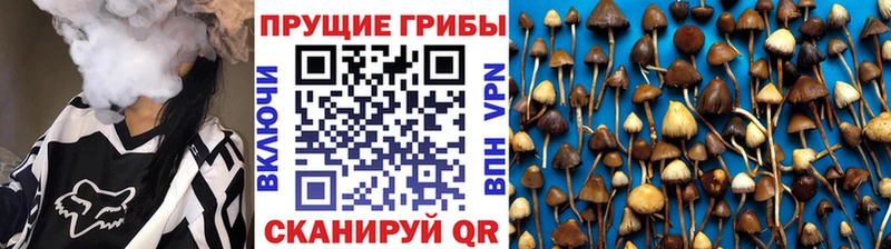Галлюциногенные грибы мухоморы  Купить закладки  Пущино 